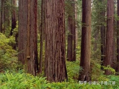 厦门海峡国际社区风水_厦门风水大师_厦门风水公司