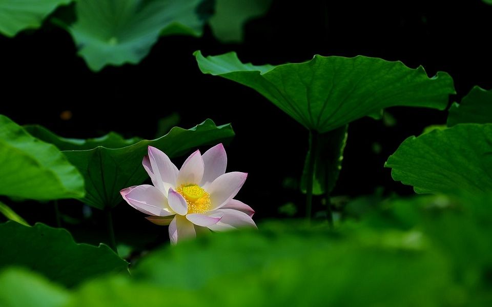 办公室什么楼层风水好