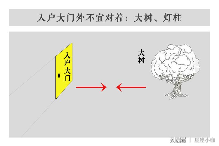 阳台种什么植物最旺风水_公司大门口种什么植物风水最好_后花园种什么植物旺风水