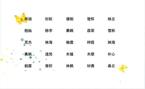 公司起名的五行属性_属羊的五行属性起名_五行属水的字有哪些 起名五行属水的文字寓意大全