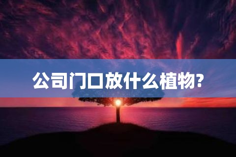 公司门口放什么植物?