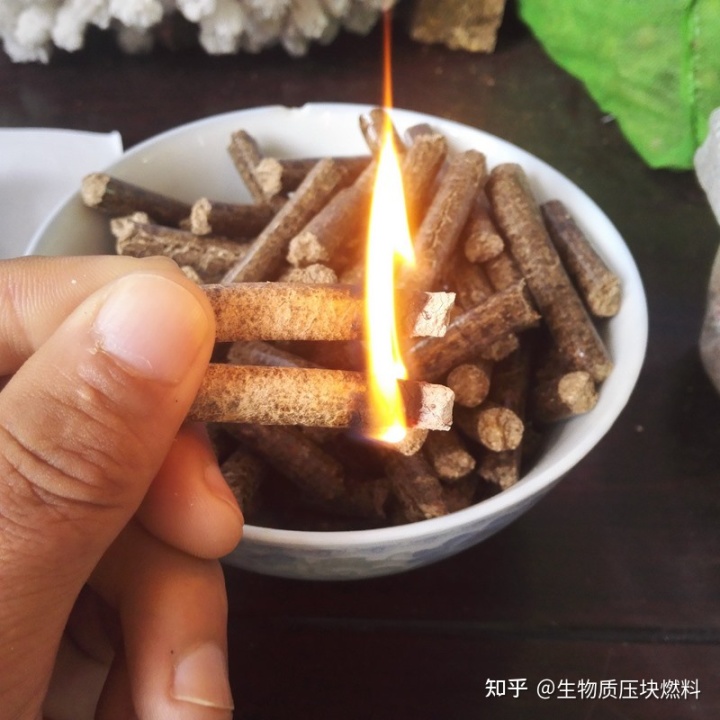 生物质燃料的灰分燃料灰分有多少？的因素是什么？