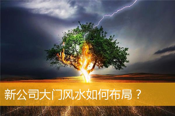 新公司大门风水如何布局从零开始?