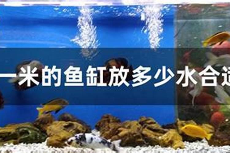 办公室鱼缸摆放位置风水讲究