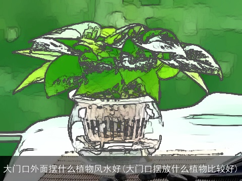 大门口外面摆什么植物风水好(大门口摆放什么植物比较好)