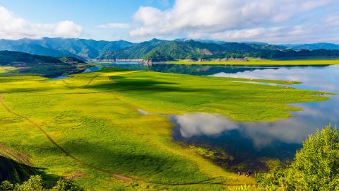 慈世堂：财务室风水不容忽视的风水原理