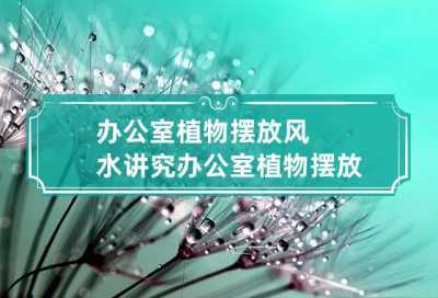 办公室植物摆放风水讲究办公室植物摆放要以阔叶长青植物为主