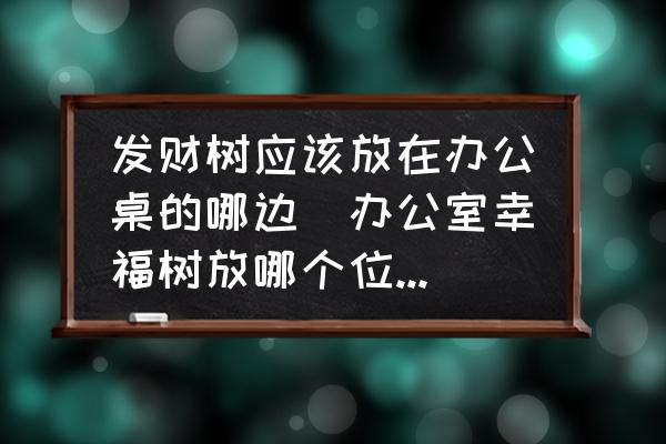 发财树应该放在办公桌的哪边(办公室幸福树放哪个位置好？)