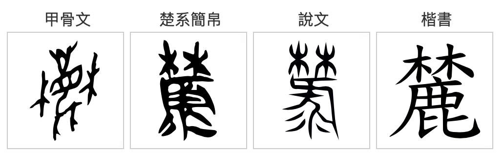 麓湖风水之谜：为何每次开盘即售罄？神秘学信息暗藏其中