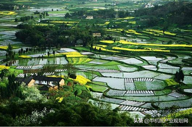 美丽乡村生态规划：原则、挑战与宜居环境建设的探索